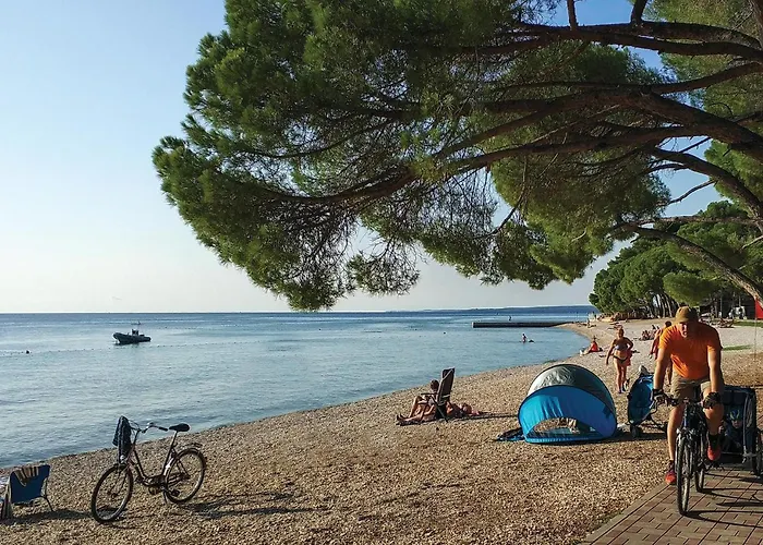 Cozy In Διαμέρισμα *